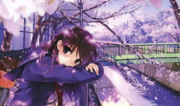 日本樱花动漫,绽放的青春记忆与梦幻世界